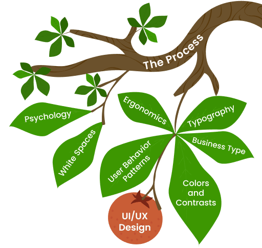 The Process of UI/UX Designing