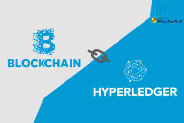 Hyperledger Fabric, A Blockchain Technology for Smart  