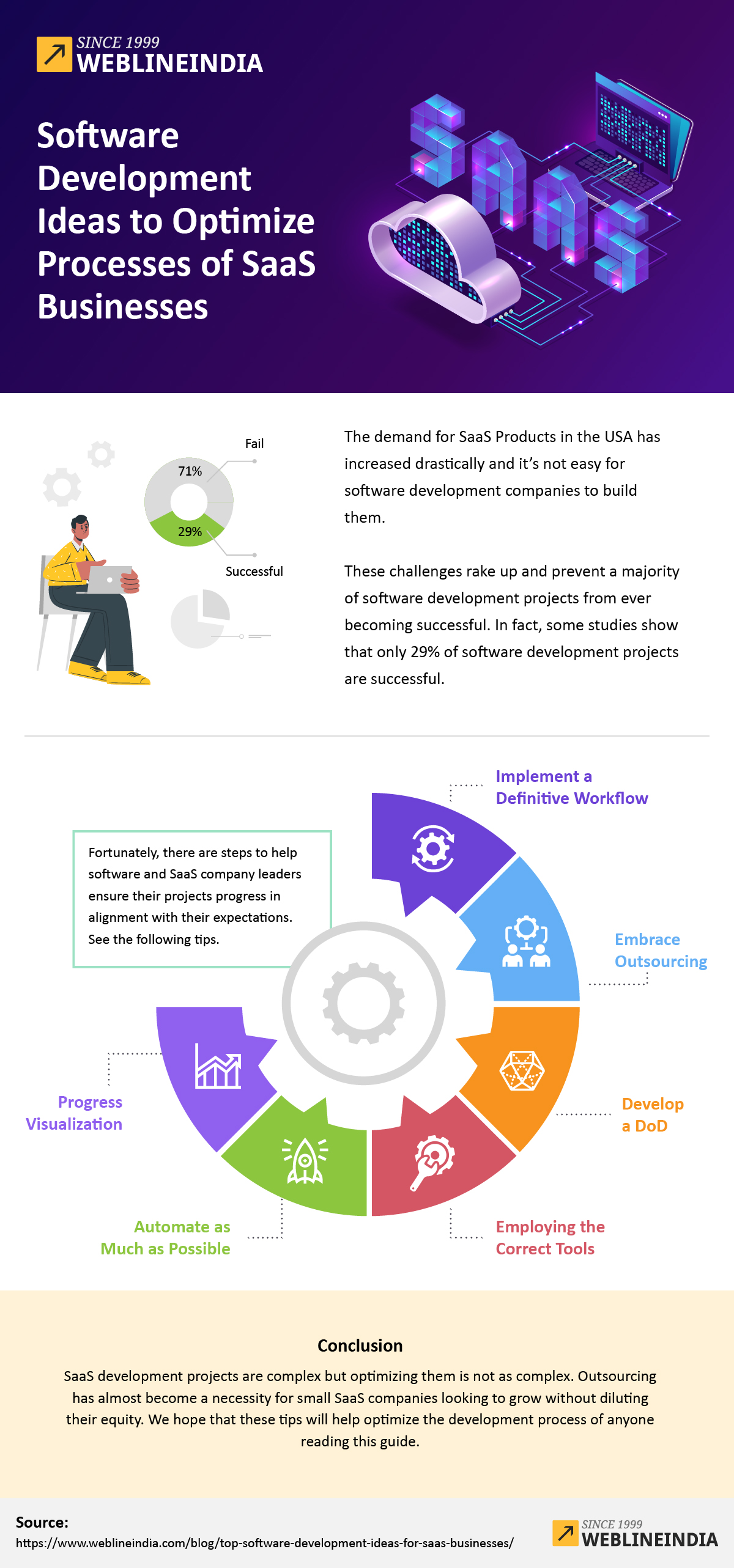 Software Development Ideas for Saas Business Infographic