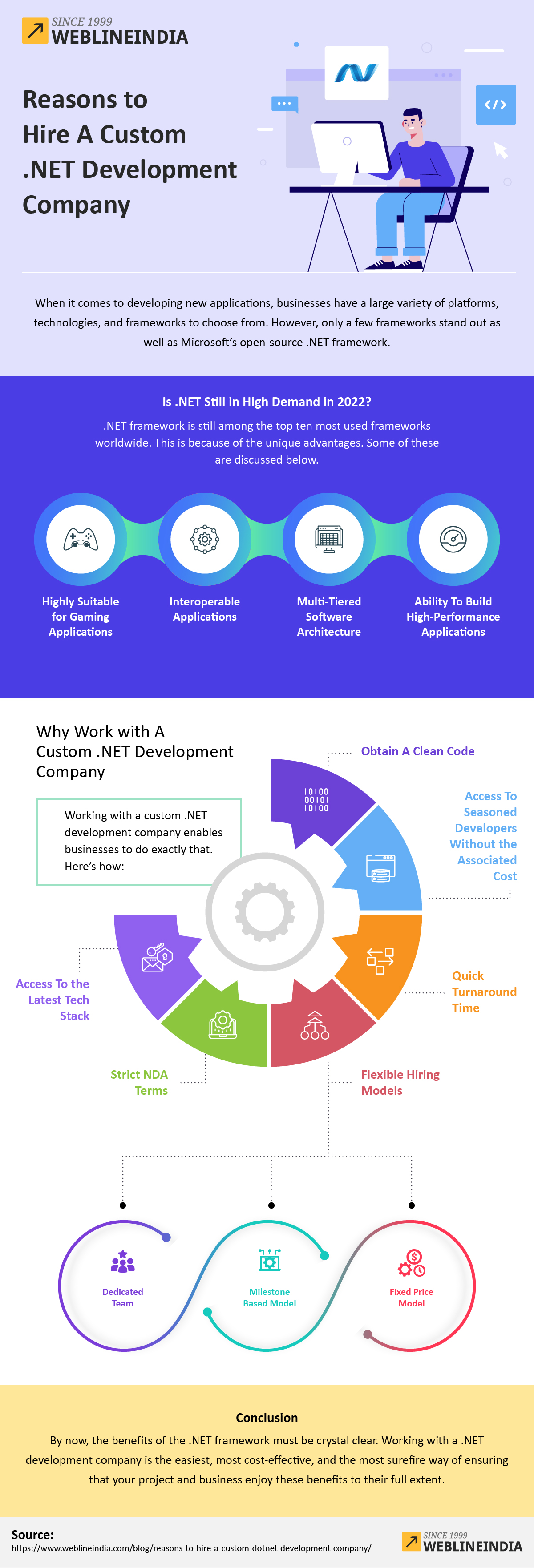 Custom .NET Development Company Infographic