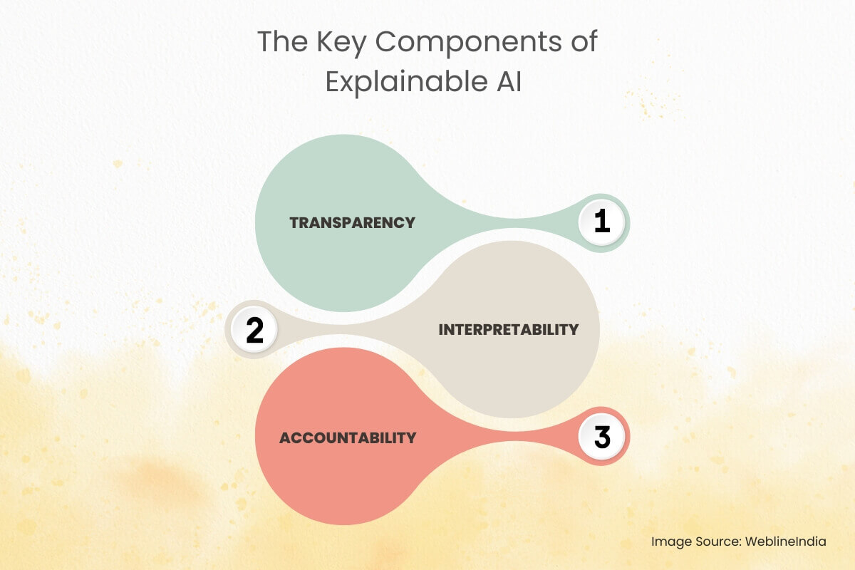 The Key Components of Explainable AI The Key Components of Explainable AI