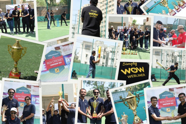 WeblineIndia’s Box Cricket Tournament