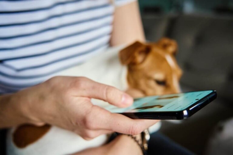 App för husdjursvård