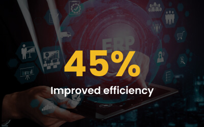 Enterprise ERP Modernization