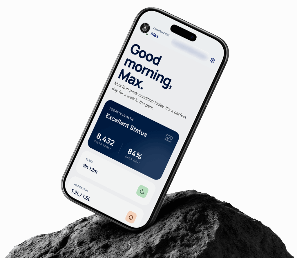 Cross platform pet care app with GPS tracking and wearable integration